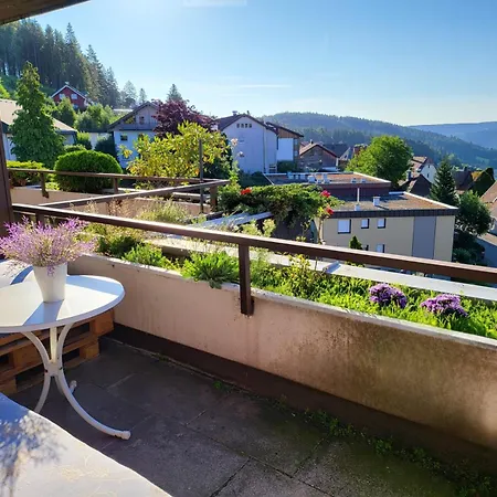 Birds Eye Mountain View At Balcony, Parking Free, New Kitchen, Renovated Bathroom Apartamento