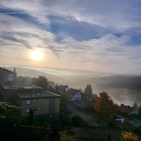 Birds Eye Mountain View At Balcony, Parking Free, New Kitchen, Renovated Bathroom *