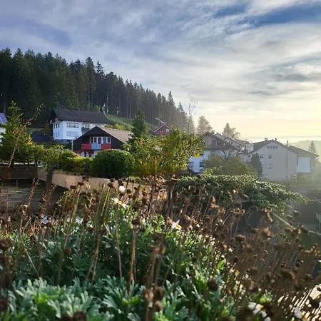 Apartmán Birds Eye Mountain View At Balcony, Parking Free, New Kitchen, Renovated Bathroom *