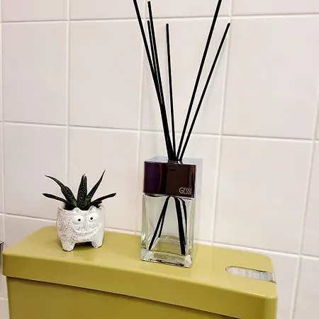 Mountain View With Balcony Parking On Site Free *