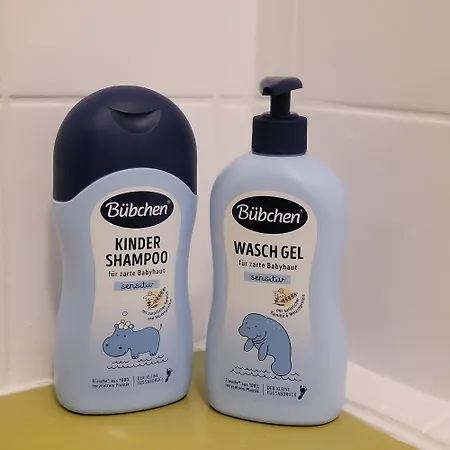 Mountain View With Balcony Parking On Site Free Schonach im Schwarzwald