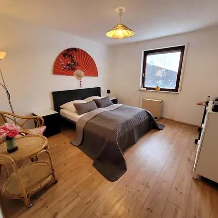 Birds Eye Mountain View At Balcony, Parking Free, New Kitchen, Renovated Bathroom Apartamento Schonach im Schwarzwald