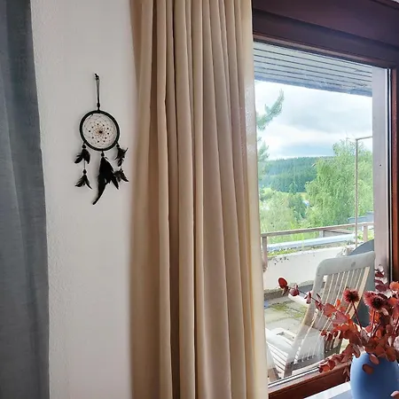 Birds Eye Mountain View At Balcony, Parking Free, New Kitchen, Renovated Bathroom Apartmán